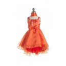 Special Occasion Dress 3