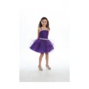 special occasion purple dress