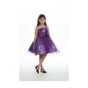 special occasion purple dress